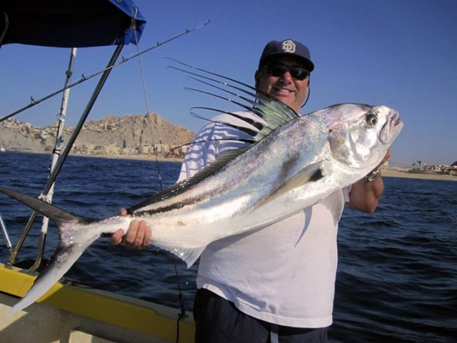 peces de los cabos